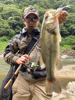 ブラックバスの釣果