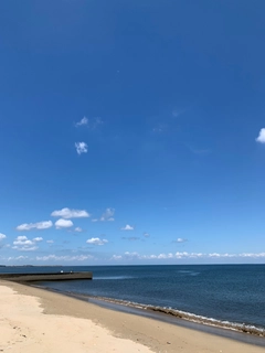 キスの釣果