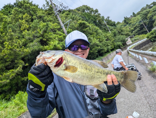 ラージマウスバスの釣果