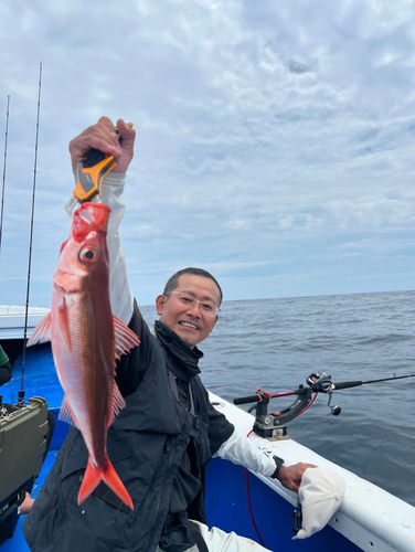 ハチビキの釣果