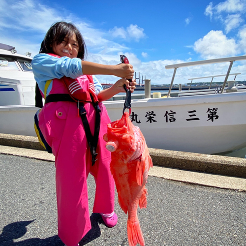 アコウダイの釣果