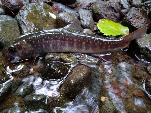 長野県南部