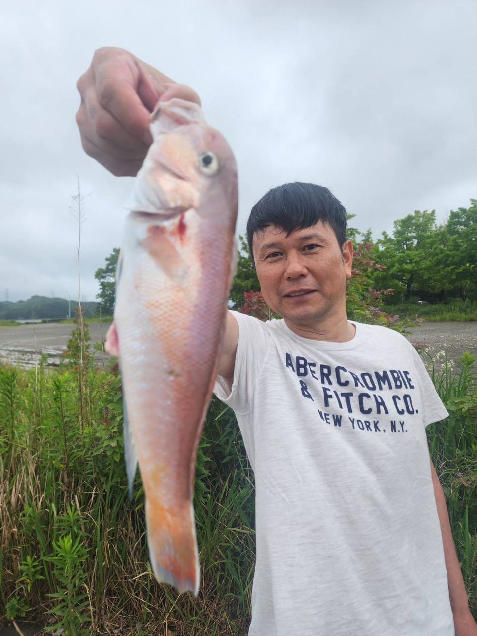 清和丸さんの釣果 3枚目の画像