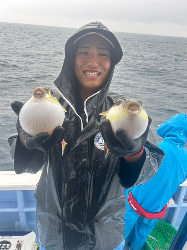 ショウサイフグの釣果