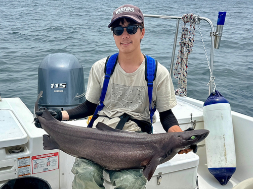 ユメザメの釣果