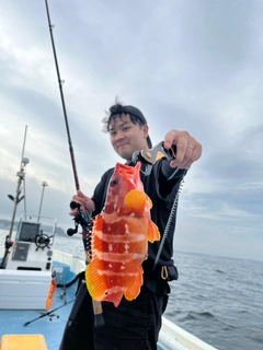 アカハタの釣果