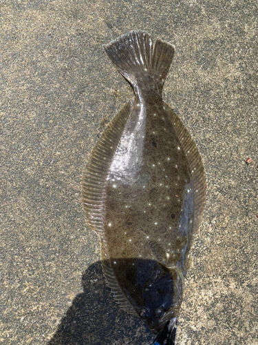 三陸海岸（青森）