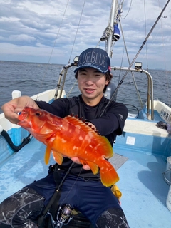 アカハタの釣果