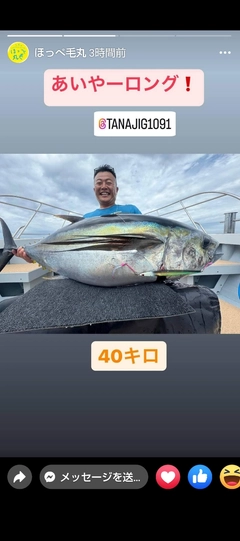 メバチマグロの釣果