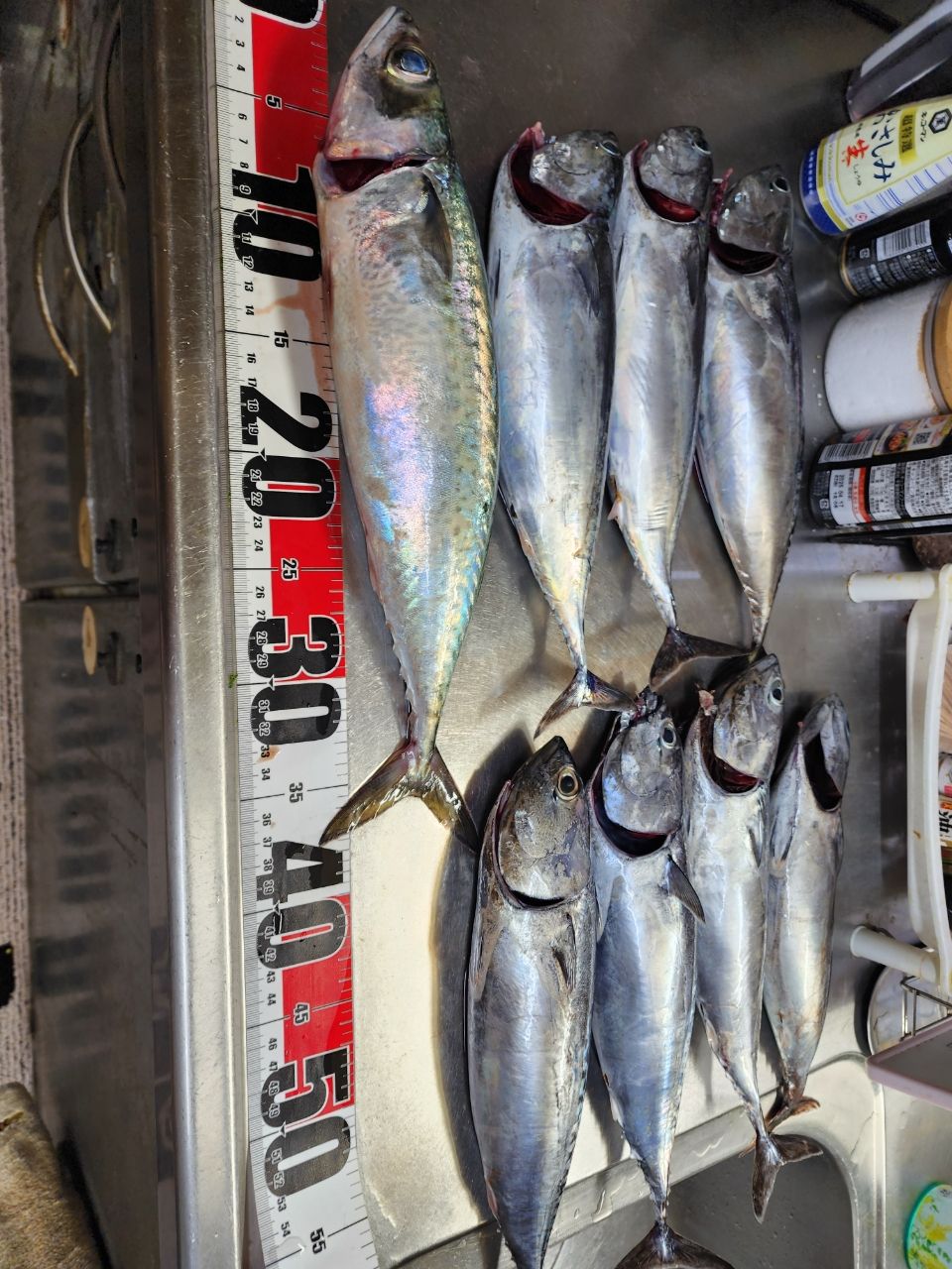 じゅんこママさんの釣果 3枚目の画像