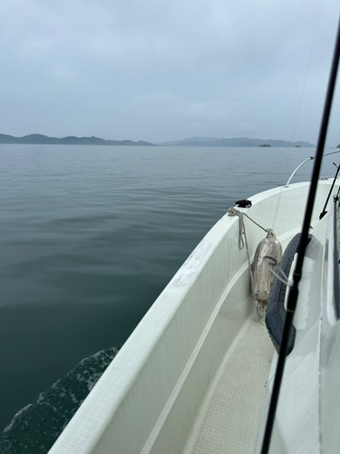 タイの釣果