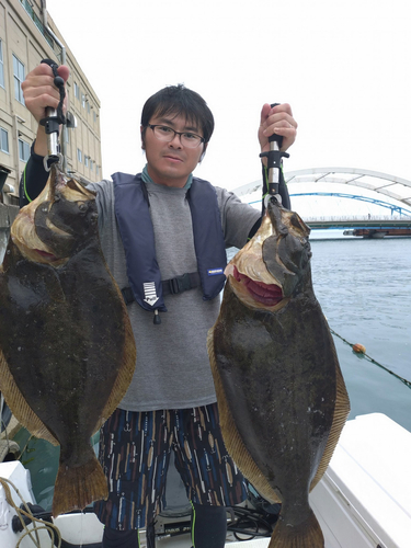 ヒラメの釣果