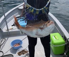 タイの釣果