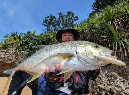 オニヒラアジの釣果