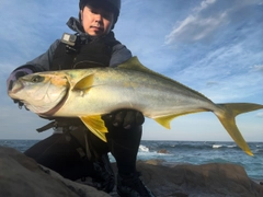 ヒラマサの釣果