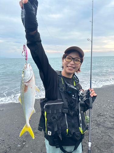 ワカシの釣果