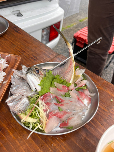 メッキの釣果