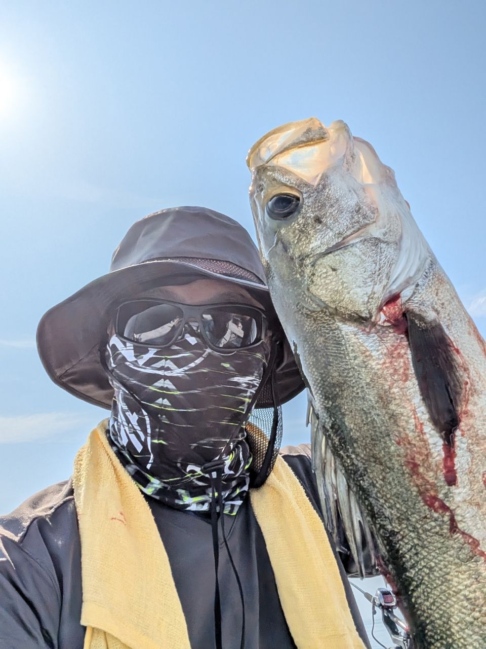 にゃぎだもさんの釣果 3枚目の画像