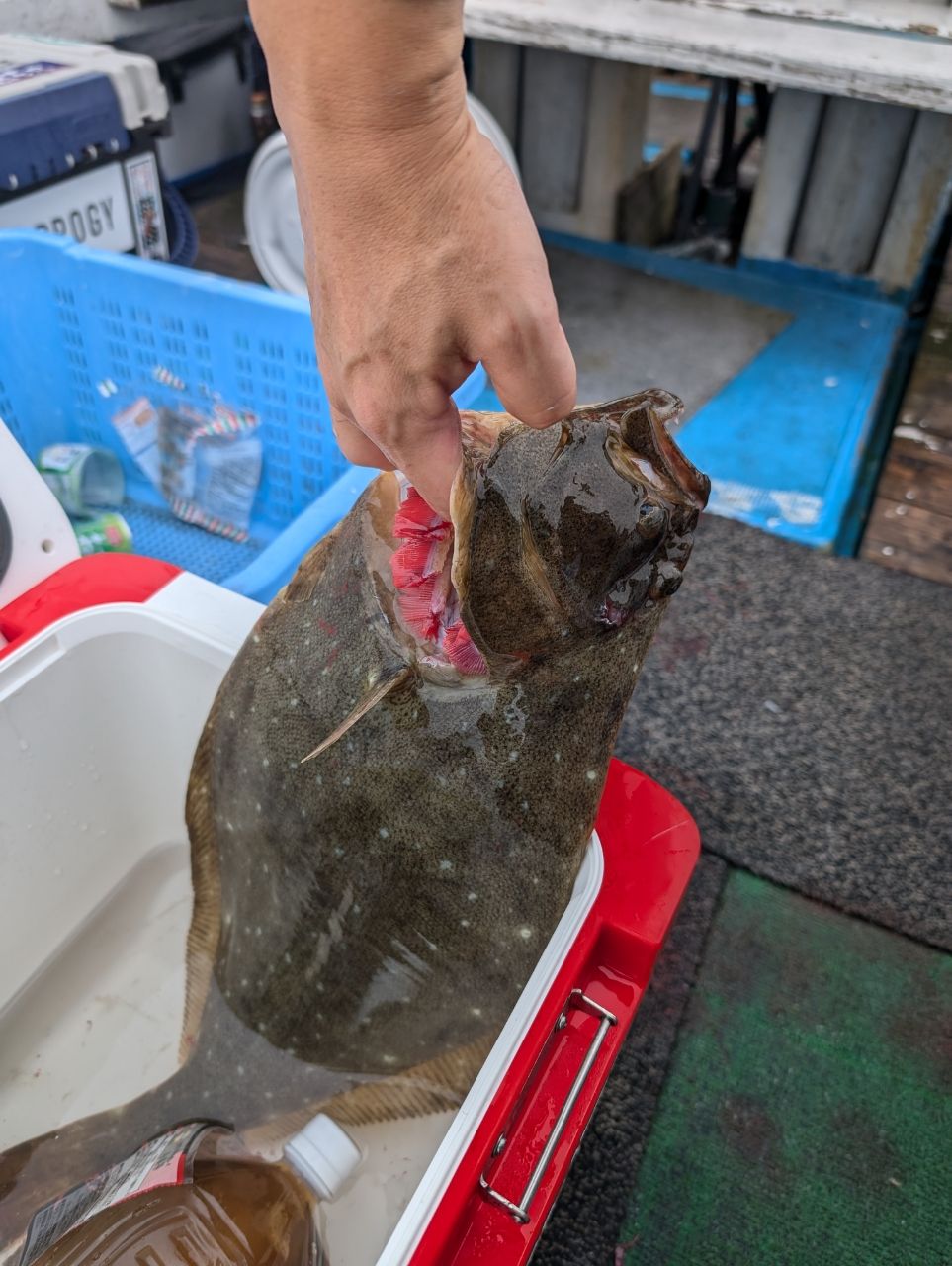 にゃぎだもさんの釣果 2枚目の画像