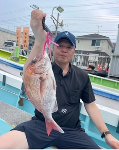 マダイの釣果