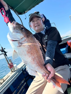 マダイの釣果