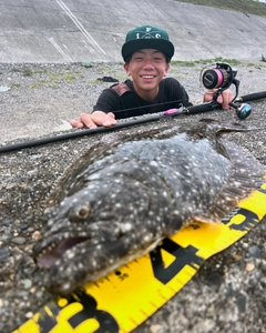 ヒラメの釣果