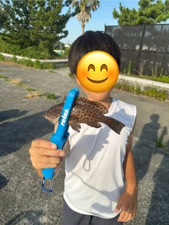 オオモンハタの釣果