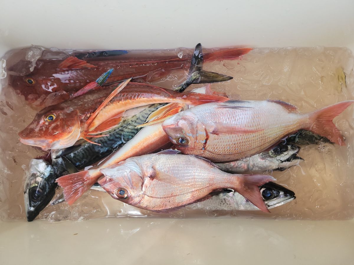 通りすがりの釣り好き人間さんの釣果 1枚目の画像