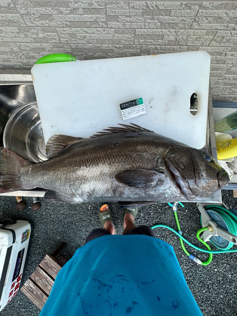 西田敏行かな？さんの釣果 2枚目の画像