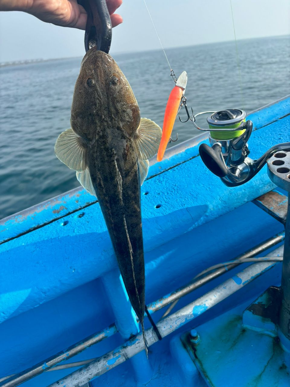 伊勢隼人【マゴチハンター】さんの釣果 3枚目の画像