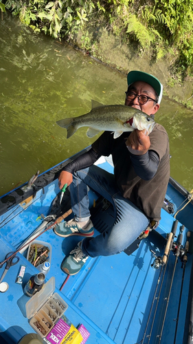 ラージマウスバスの釣果