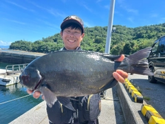 クチブトグレの釣果