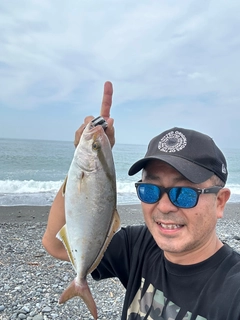 ショゴの釣果