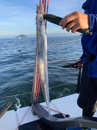 タチウオの釣果