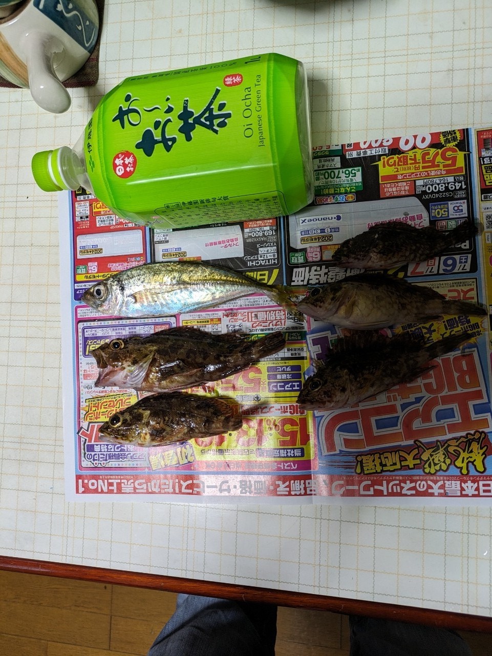 アジ