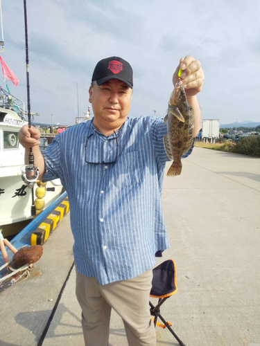 アイナメの釣果