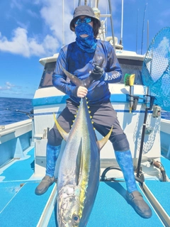 キハダマグロの釣果