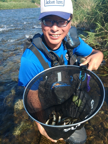 アユの釣果