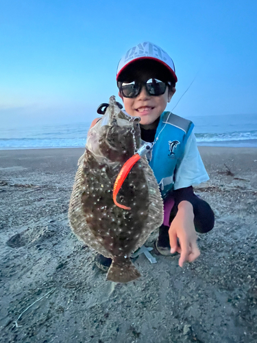 ソゲの釣果