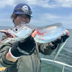 タチウオの釣果