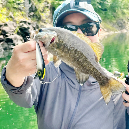 スモールマウスバスの釣果