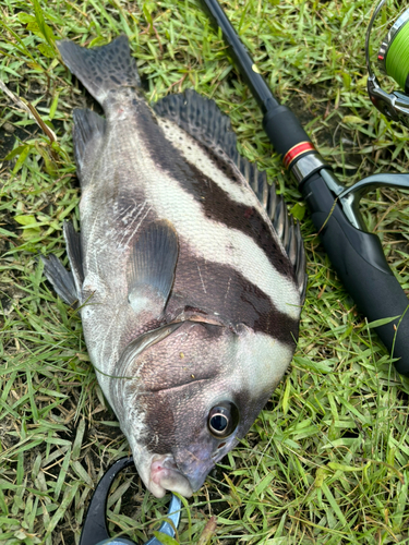 釣果