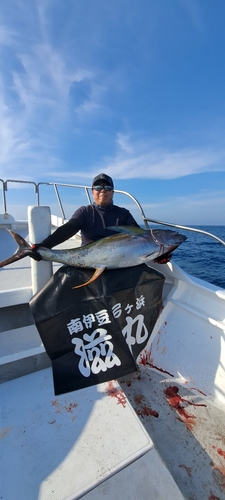 キハダマグロの釣果