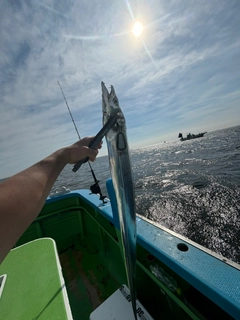 タチウオの釣果