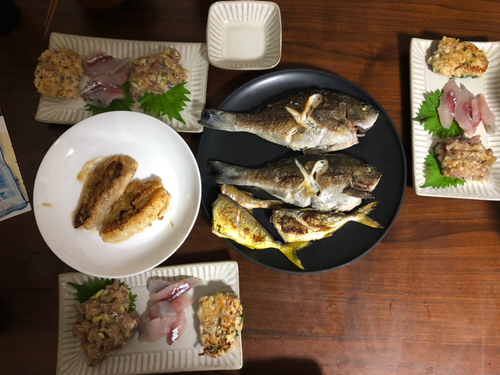 ショゴの釣果