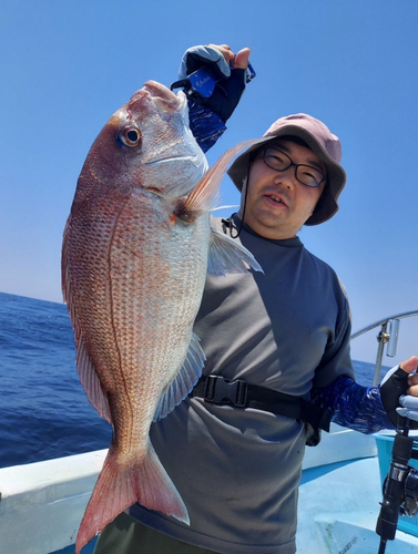 マダイの釣果