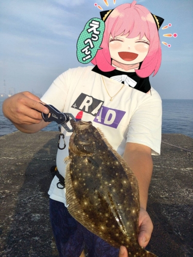 ヒラメの釣果