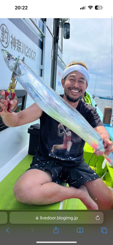 タチウオの釣果