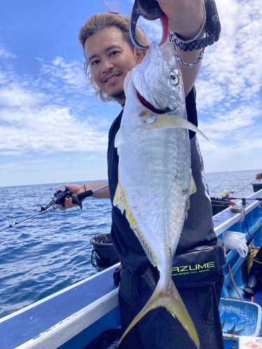 シマアジの釣果