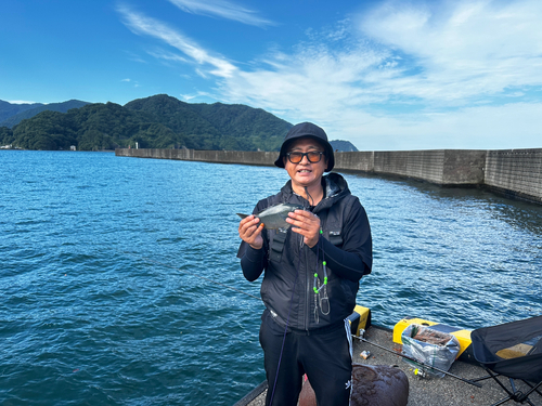 メジナの釣果